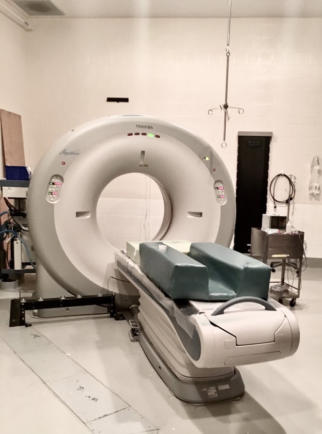 veterinarian ct scanner